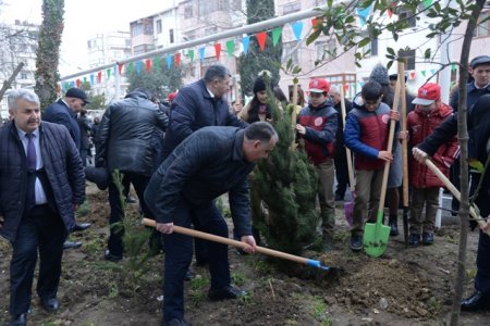 Nəsimi rayonunda Novruz bayramı ərəfəsində növbəti “Abad həyət” sakinlərin istifadəsinə verildi