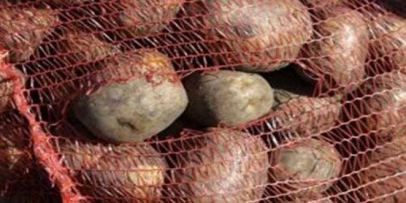 Azərbaycan rüsum tətbiq etdi, Türkiyədə 400 min ton kartof anbarda çürüdü