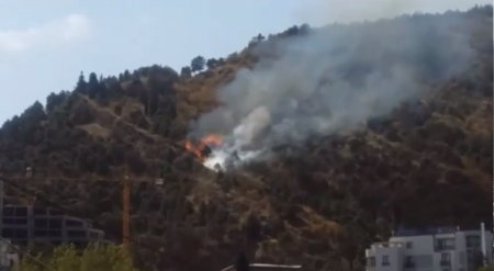 Lerik meşələrində yanğın – Nazirlikdən açıqlama