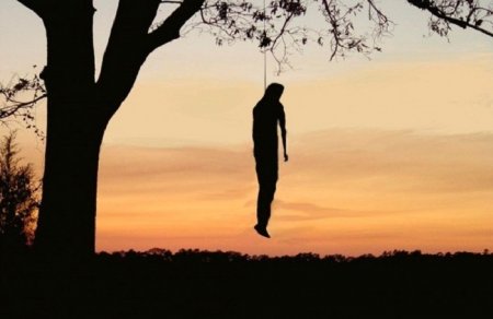 Meşədə asılmış kişi meyiti tapıldı