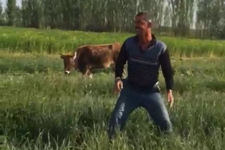 Professor soğan əkəndə kəndli ac qalırmış - heyrətamiz video