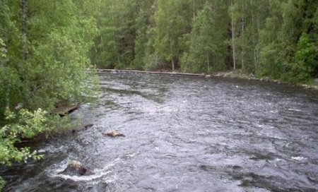 Kür və Araz çaylarında suyun səviyyəsi artıb