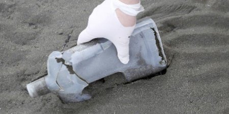 Plastiki həzm edən bakteriya