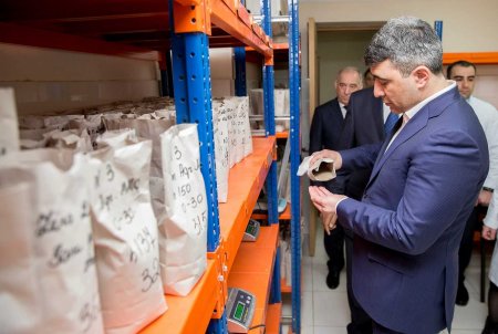 Yeni nazir müəssisələri yoxlamağa başladı (FOTOLAR)