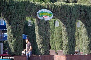 Yay gəlir, bulvarda işbazlar iş başında – Bu məkanlara getsəniz sizi aldadacaqlar – FOTOLAR Yay gəlir, bulvarda işbazlar iş başında – Bu məkanlara getsəniz sizi aldadacaqlar – FOTOLAR