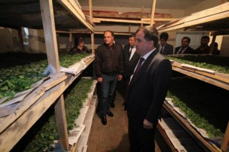 Rəcəb Babaşov yola salınır... - Nazirlikdəki işi də araşdırılır...