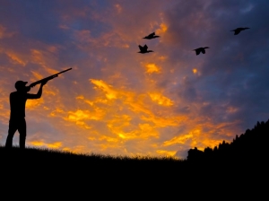 МЭПР объявило открытым сезон охоты в Азербайджане