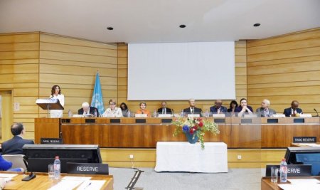 Mehriban Əliyeva Parisdə konfransda (FOTOLAR)