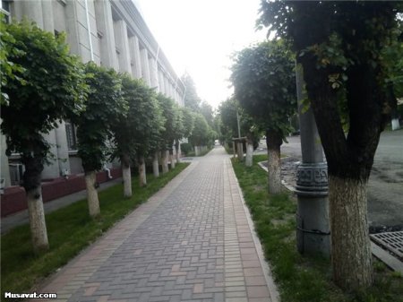 Qazaxlar alma yeyiblər, amma cənnətdən qovulmayıblar – Almatıdan I reportaj (FOTOLAR)