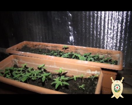 Balakəndə narkotik maddələrin emal edildiyi qeyri-qanuni laboratoriya aşkar edilib (FOTO)