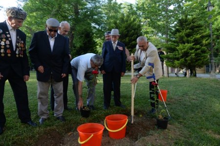Nəsimi rayonunda Azərbaycan Xalq Cümhuriyyətinin 100 illiyi münasibəti ilə “Cümhuriyyətin yaşıdları” adlı tədbir keçirildi - FOTOLAR