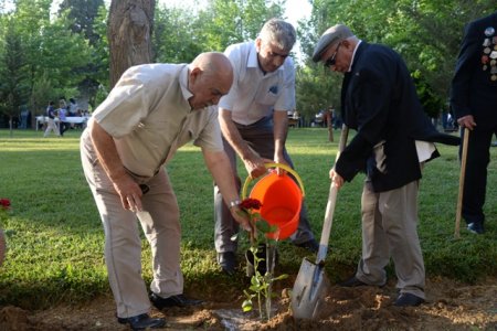 Nəsimi rayonunda Azərbaycan Xalq Cümhuriyyətinin 100 illiyi münasibəti ilə “Cümhuriyyətin yaşıdları” adlı tədbir keçirildi - FOTOLAR