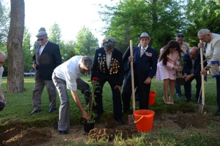 Nəsimi rayonunda Azərbaycan Xalq Cümhuriyyətinin 100 illiyi münasibəti ilə “Cümhuriyyətin yaşıdları” adlı tədbir keçirildi - FOTOLAR
