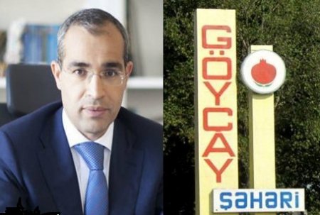 Mikayıl Cabbarovun 9 saylı vergi oliqarxının biznes səltənəti