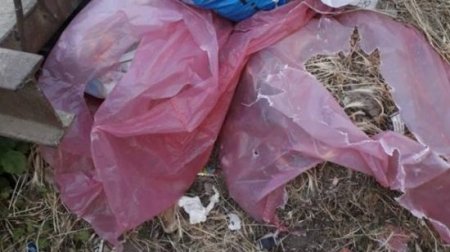 67 saylı MİS-in rəisi Keşlədə zibil qablarının “ekskursiyasını” təşkil edib – Foto + Video