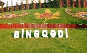 В Бинагадинский район назначен новый глава исполнительной власти В Бинагадинский район назначен новый глава исполнительной власти