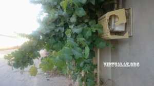 Binə qəsəbəsində sayğac vandalları - GİLEY Binə qəsəbəsində sayğac vandalları - GİLEY