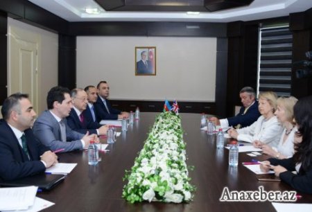 Milli Onkologiya Mərkəzində Baronessa Emma Nikolson ilə görüş olub