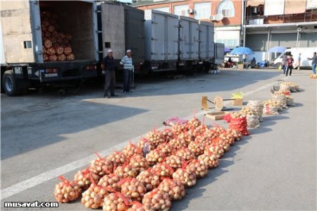 Bazarlarda şok ucuzlaşma - kartof-soğanın qiyməti iki dəfə endi-Bazardan VİDEOREPORTAJ, FOTOLAR