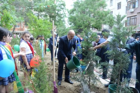Nəsimi rayonunda 15 iyun – Milli Qurtuluş günü ərəfəsində növbəti “Abad həyət” sakinlərin istifadəsinə verildi - FOTOLAR