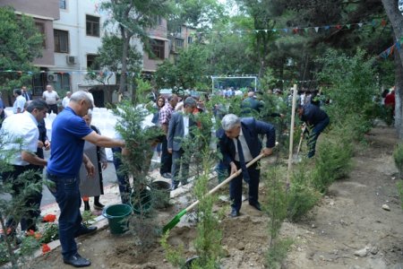 Nəsimi rayonunda 15 iyun – Milli Qurtuluş günü ərəfəsində növbəti “Abad həyət” sakinlərin istifadəsinə verildi - FOTOLAR