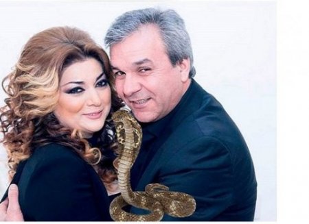 Təranə və Musanın evinə ilan hücum etdi — QORXULU GÖRÜNTÜLƏR