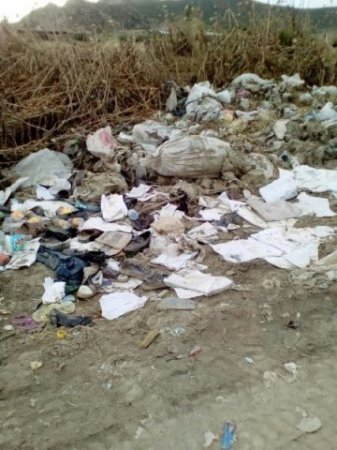 Göyçayın bir kəndi zəhərlənib: Rəşad Şükürovun menyusuna - Fotolar