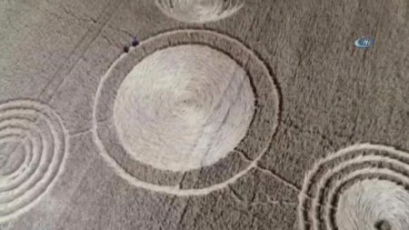 Rusiya tarlasında qəribə işarələr — Yadplanetlilər mesaj verir?