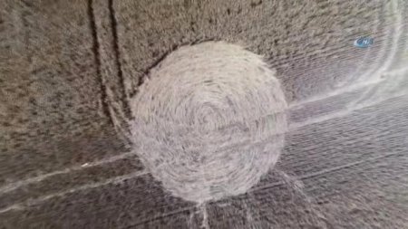 Rusiya tarlasında qəribə işarələr — Yadplanetlilər mesaj verir?