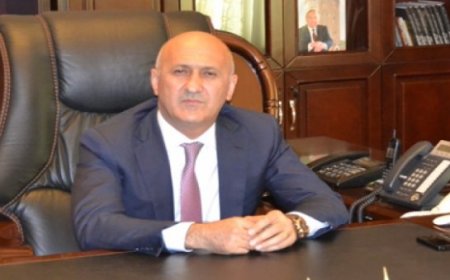 Nizami Rayon İcra başçısı Arif Qasımovdan prezidentə şikayət - Cavabsız qalan SORĞU