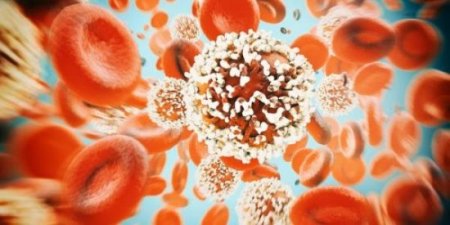 4 növ xərçəngin qarşısını alan dərman tapıldı