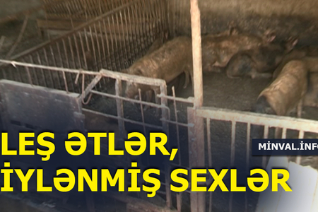 İylənmiş leş ətlər kolbasa üçün istifadə edilir – Bakıda iyrənc görüntülər (VİDEO)