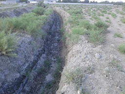 Ucar rayonu Qazyan kənd sakinləri nədən şikayət edirlər? - ŞİKAYƏT Ucar rayonu Qazyan kənd sakinləri nədən şikayət edirlər? - ŞİKAYƏT