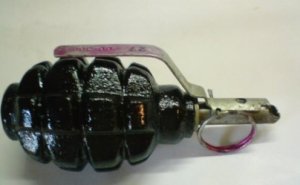 Tovuz sakinindən qumbara götürüldü Tovuz sakinindən qumbara götürüldü