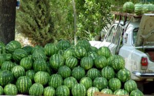 Министерство сельского хозяйства назвало причины роста цен на арбузы Министерство сельского хозяйства назвало причины роста цен на арбузы