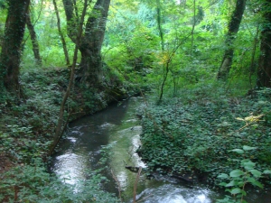 МЧС: Поиски пропавшего в центре отдыха в Набрани 3-летнего мальчика продолжаются - ОБНОВЛЕНО