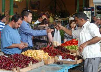 Azərbaycan meyvələrini Rusiyaya buraxmadılar - Zərərli viruslara görə