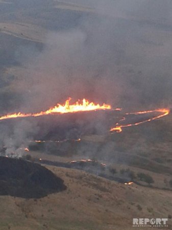 Siyəzəndə başlayan yanğın qonşu rayonlara keçdi - Heyvanlar və quşlar tələf oldu/ Fotolar
