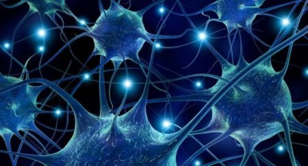 Alimlər xərçəngin dərmanını tapdılar — YENİ KƏŞF