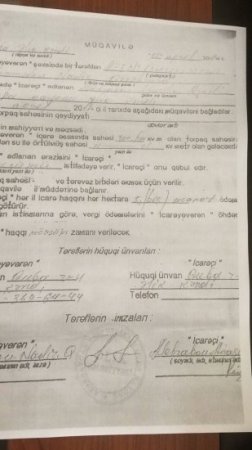 Ziyəddin Əliyev Qubada fermerlərə yaylaq müsibəti yaşadır-FOTOLAR