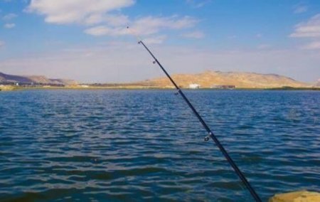 Ağstafada balıq tutan şəxsi elektrik cərəyanı vurub öldürüb