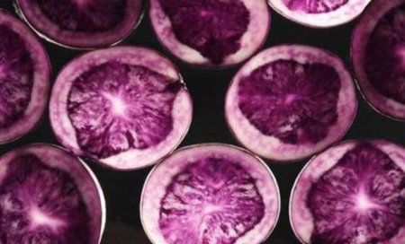 Xərçəngin və minbir dərdin dərmanı BƏNÖVŞƏYİ KARTOF