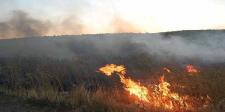 Göyçayda meşə massivi yanır