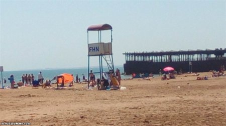 Pirşağı çimərliyinə getməyin: iyrənc mənzərə – Video