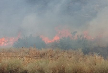 Göyçayda güclü yanğın - 5 rayondan yanğınsöndürənlər cəlb edildi