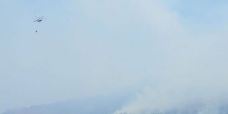 Ağsuda meşə ərazisi yanğından mühafizə olunub, yanğın məhdudlaşdırılıb (YENİLƏNİB)