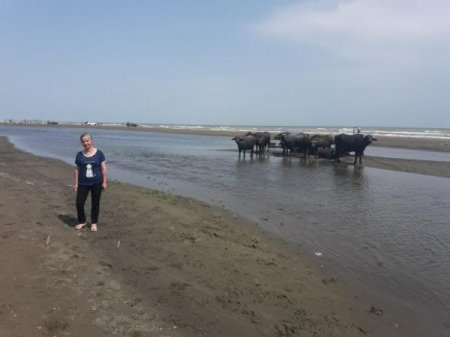 Çamışlar Nabran çimərliyində belə dincəlir – FOTOLAR