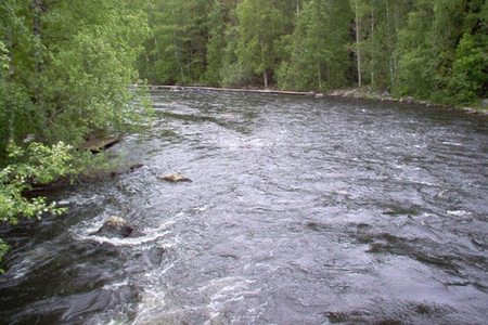 FHN Zaqatala və Balakəndə baş verən təbii fəlakətlə bağlı məlumat yayıb