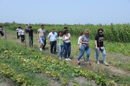 Nəsimi rayon gəncləri Quba rayonunda sahibkarların işi ilə yaxından tanış oldular - FOTOLAR