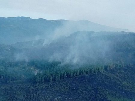Ağsu dolaylarında yenidən yanğın başladı - FOTO + YENİLƏNİB